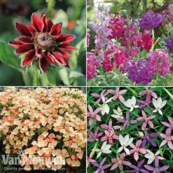 Summer Bedding Collection 6 Summer Bedding Collection -Deals Petal Via Store pic22