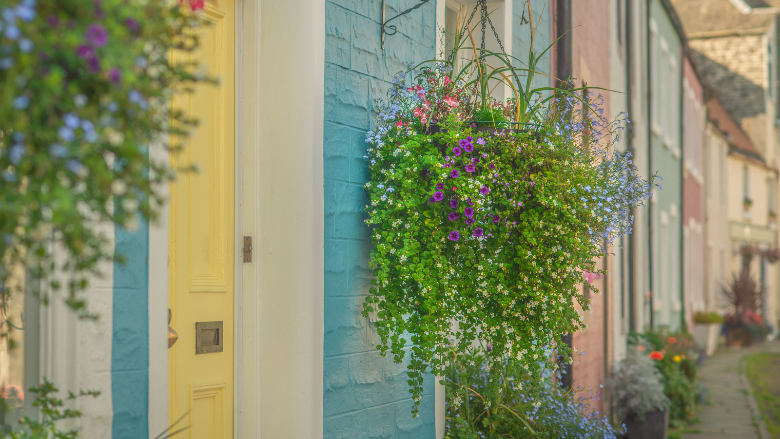 Deals Petal Via Store -Deals Petal Via Store l intro 1659960791